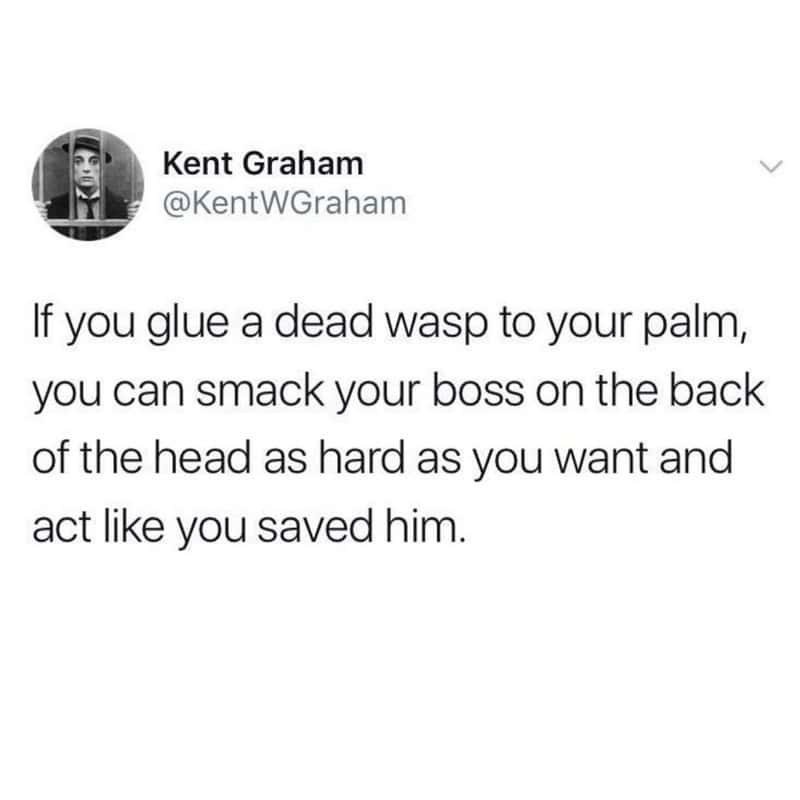 A darkly comedic work meme tweet from user @KentWGraham suggesting a "pro tip" for frustrated employees: glue a dead wasp to your palm so you can smack your boss on the back of the head as hard as you want and then pretend you "saved" him.