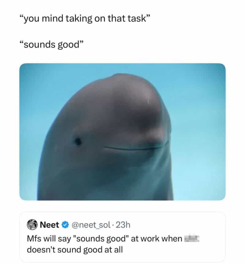 A cynical work meme featuring a close-up of a porpoise with a very faint, polite, but ultimately "done" smile against a blue water background. The text mocks how employees will reflexively say "sounds good" to a new task when the task in question absolutely does not sound good at all.
