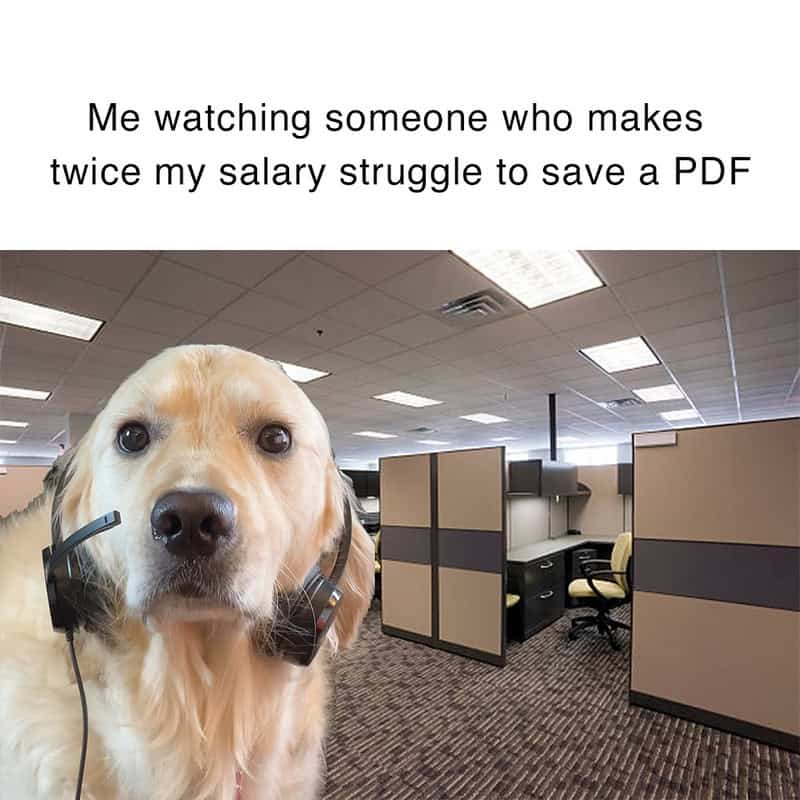 A hilarious work meme showing a Golden Retriever wearing a professional call-center headset, photoshopped into an empty, fluorescent-lit office cubicle. The text notes the profound frustration of watching a high-level executive who makes twice your salary struggle with a basic task like saving a PDF.