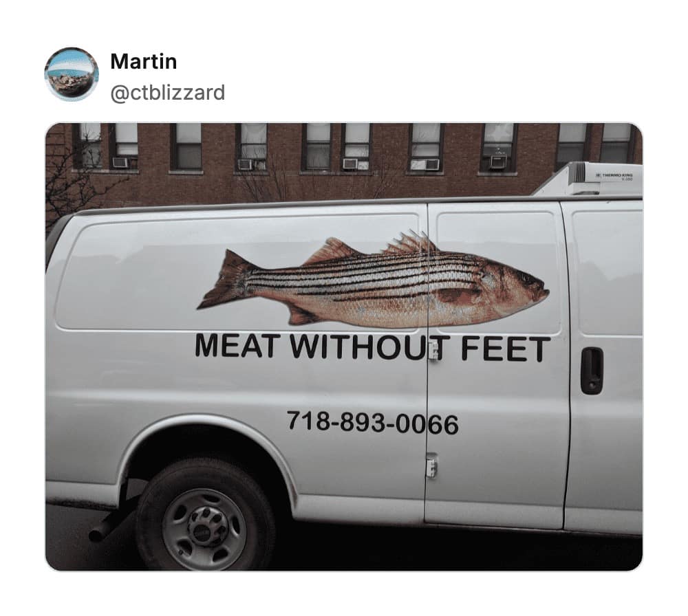 The side of a white delivery van featuring a large graphic of a striped bass and the unsettling marketing slogan "MEAT WITHOUT FEET," making it one of the worst business names for seafood distribution.