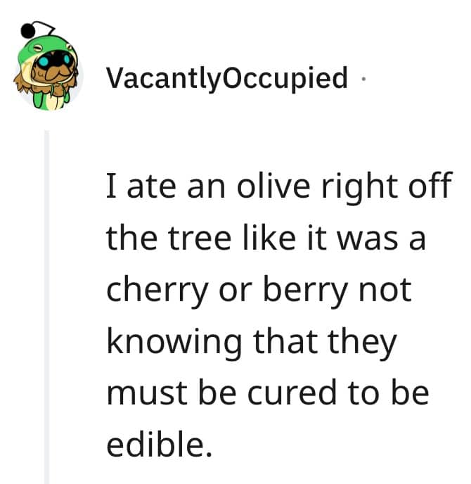 Reddit comment about eating a raw olive off a tree without curing it first.