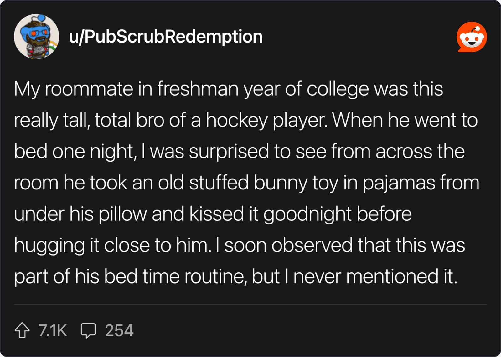 Reddit story about a tough hockey player roommate who secretly kissed a stuffed bunny goodnight