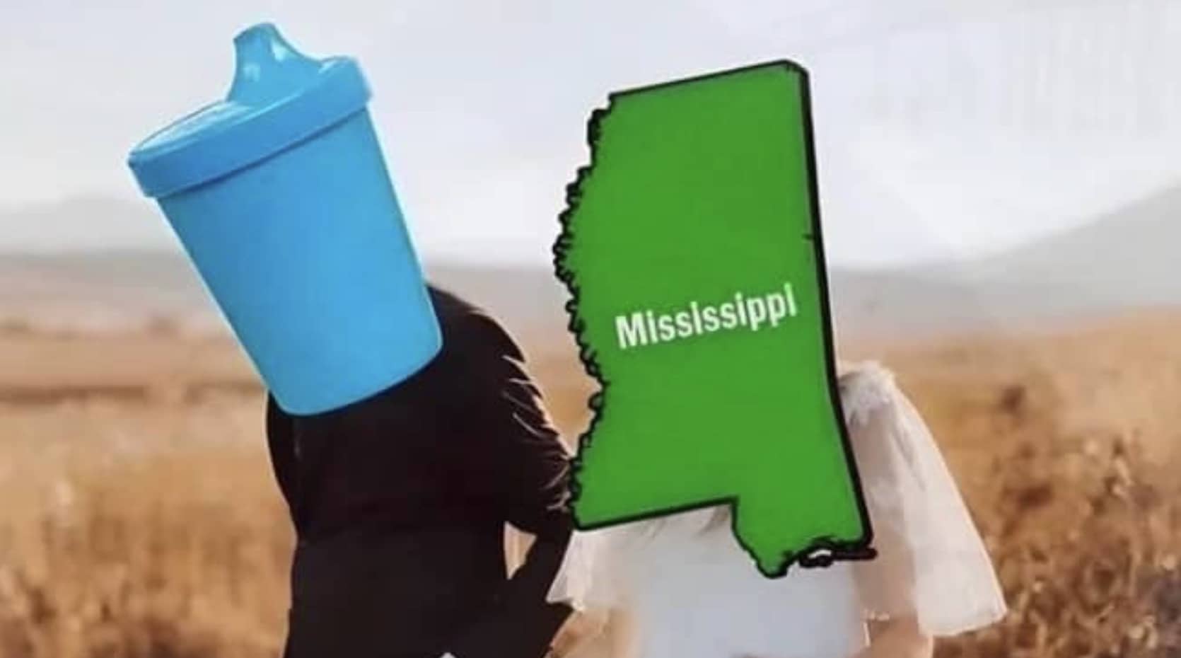 Meme using the distracted boyfriend format showing a sippy cup looking back at the state of Mississippi.