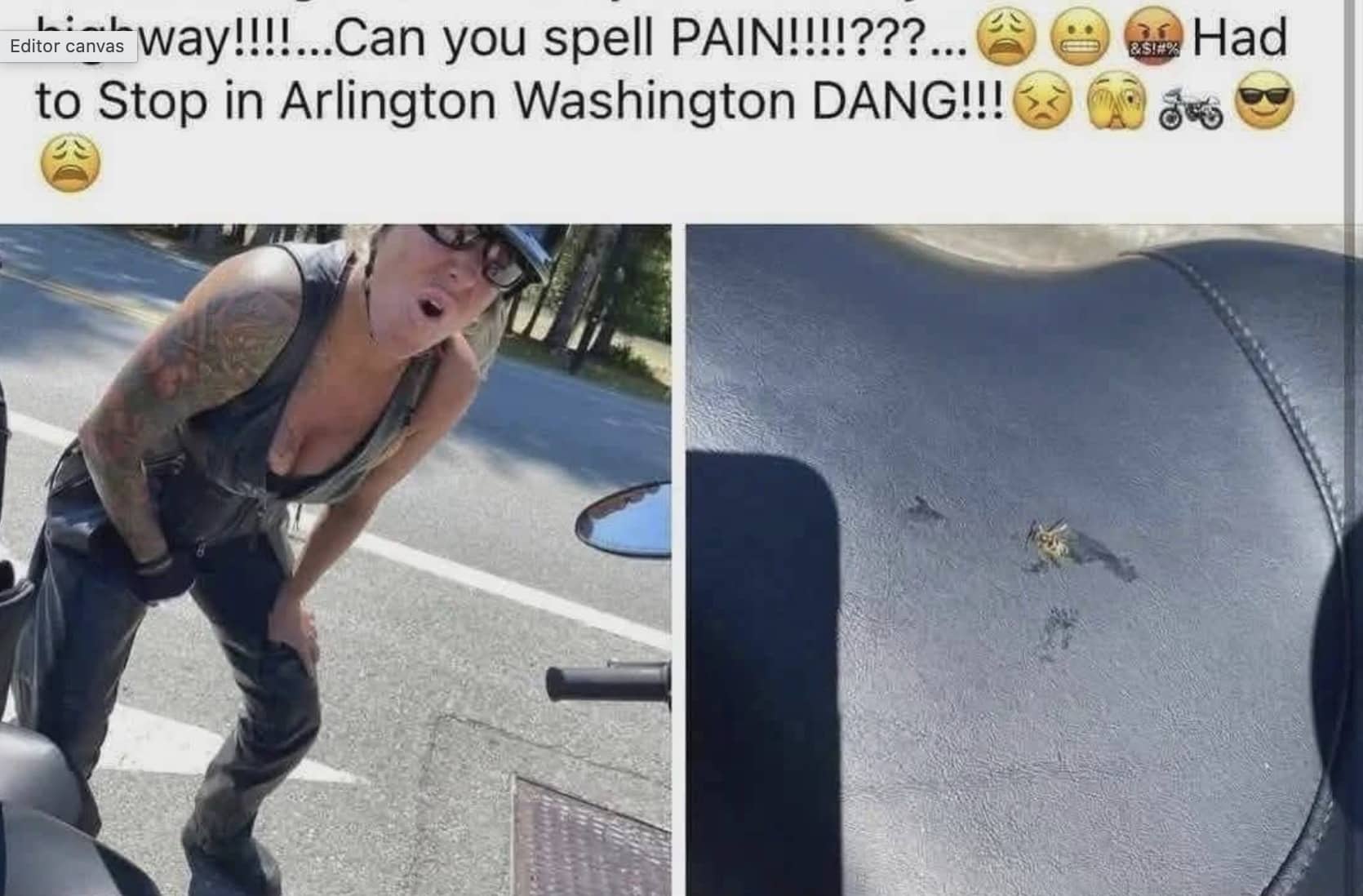 Motorcyclist in pain next to a close up of a crushed bee on a leather bike seat.