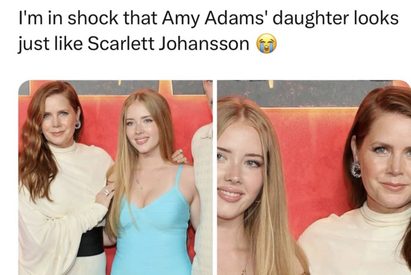 Side by side photos of actress Amy Adams and her daughter who resembles Scarlett Johansson.