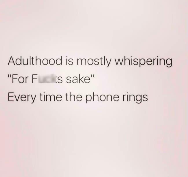 Plain text meme says adulthood is mostly whispering “for fuck’s sake” every time the phone rings, capturing the grown-up dread of surprise calls, surprise problems, and surprise responsibilities arriving through a ringtone.