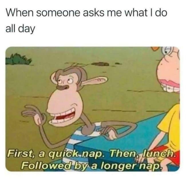 Cartoon meme says “When someone asks me what I do all day,” followed by a character explaining the schedule: first a quick nap, then lunch, followed by a longer nap, turning adulting burnout into a suspiciously perfect productivity plan.