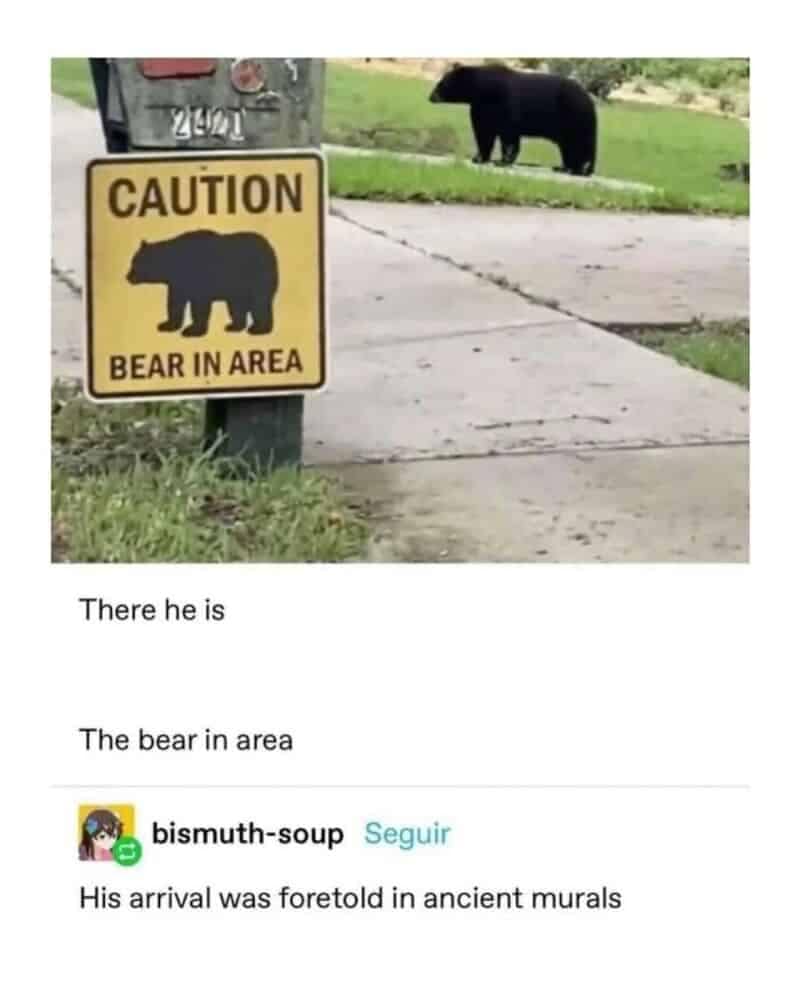 This hilarious entry in animal memes features a yellow "CAUTION BEAR IN AREA" road sign with a real black bear standing perfectly in the background driveway. The image includes a Tumblr thread screenshot featuring comments like "There he is," "The bear in area," and user bismuth-soup declaring, "His arrival was foretold in ancient murals."