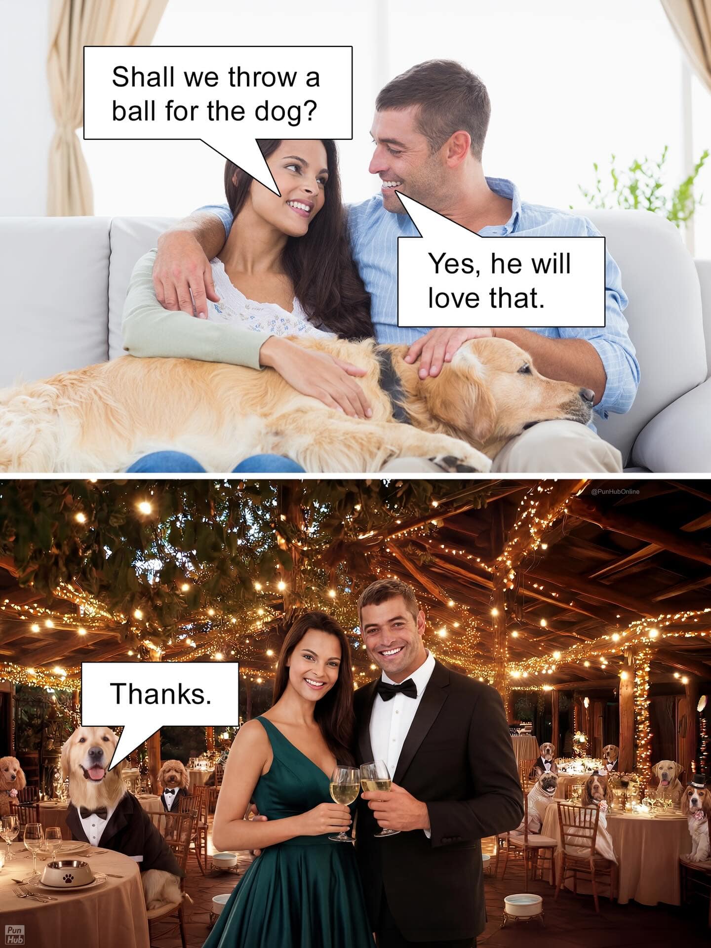 A clever two-panel animal pun webcomic from PunHub where a couple on a couch discusses throwing a ball for their golden retriever, only for the second panel to show a magnificent, formal ballroom gala filled with dogs wearing tuxedos.