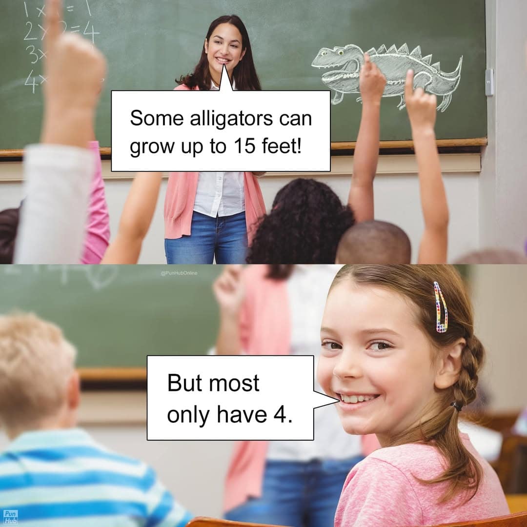 classroom-themed wordplay animal pun graphic where a teacher notes that some alligators can grow up to 15 feet, and a smug schoolgirl turns to the camera to point out that most only have four limbs.