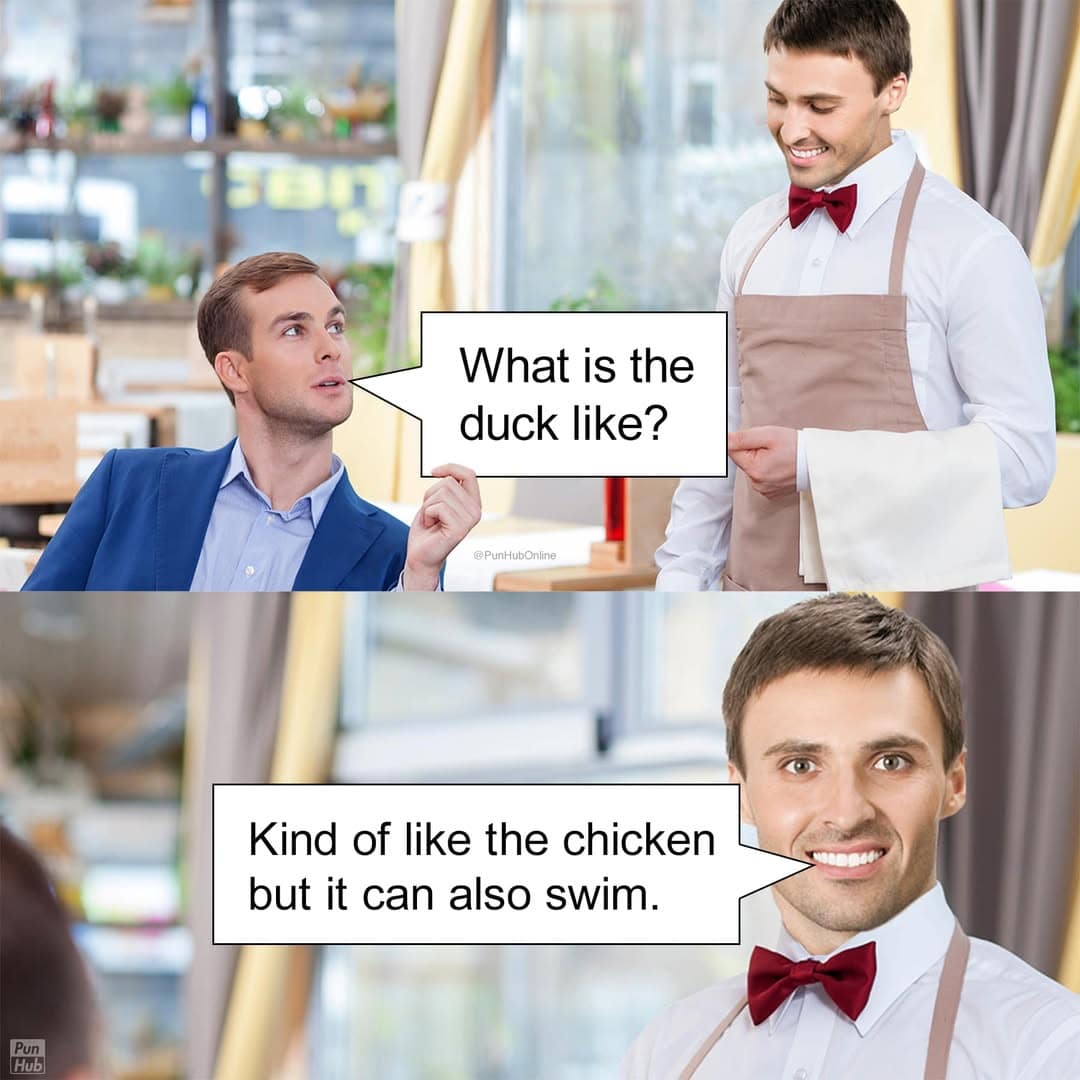 A restaurant-centered deadpan animal pun comic tracking a customer asking a waiter what a duck is like, to which the waiter bluntly explains it is essentially like a chicken that can swim.