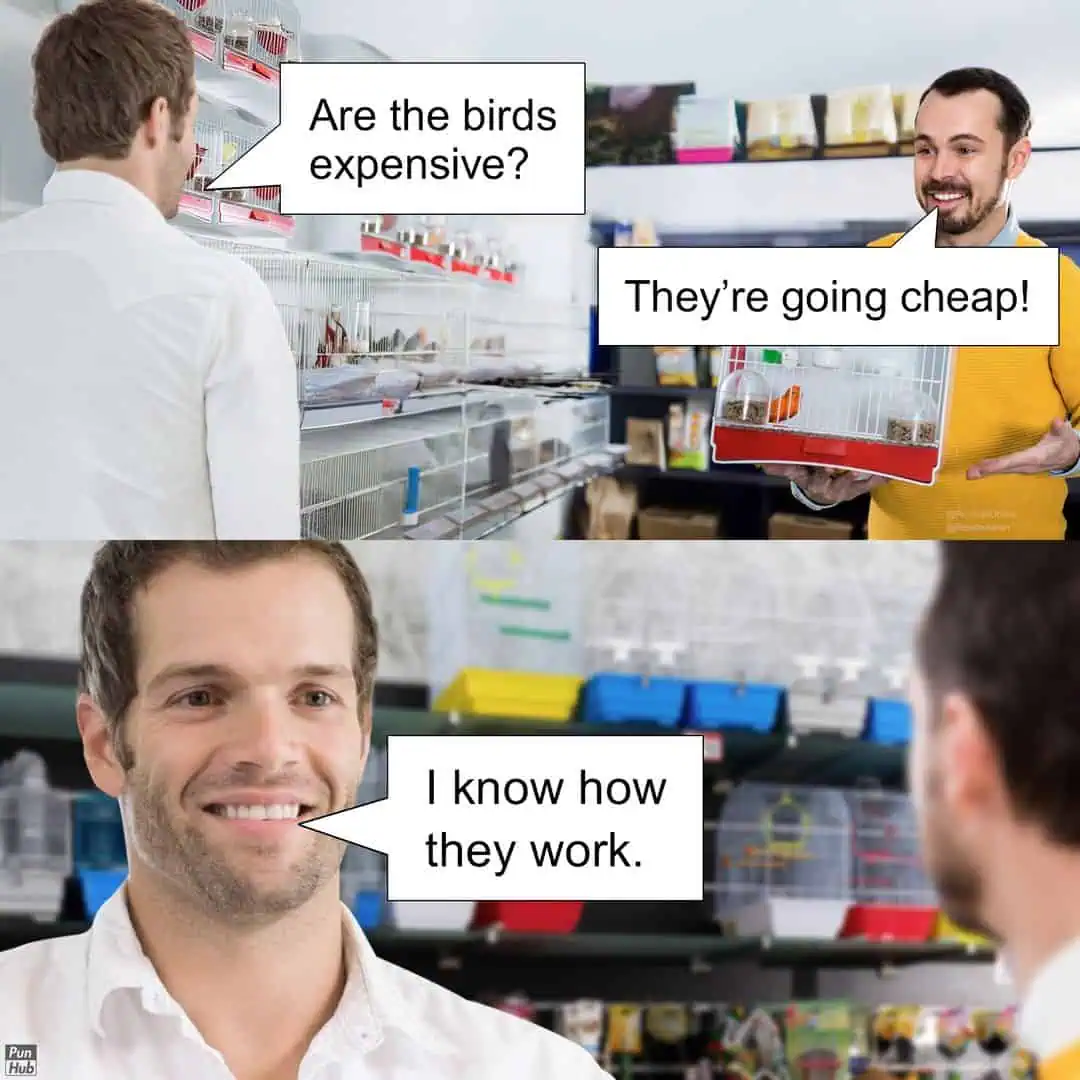 A classic bird-themed double entendre animal pun webcomic from PunHub where a pet shop employee notes that his budgies are "going cheap," leading the customer to reply that he already knows how birds work.