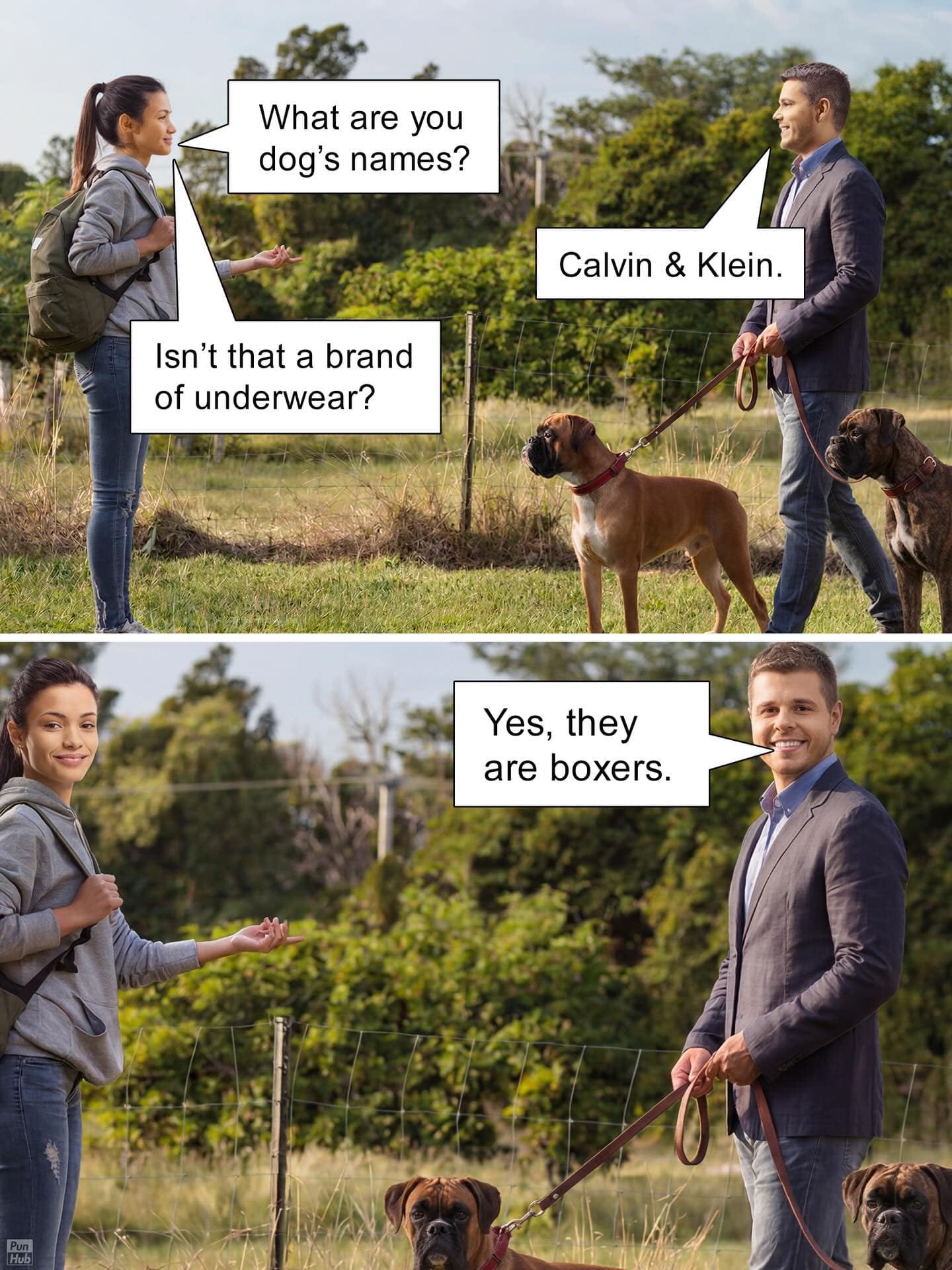 An amusing two-panel animal pun comic strip showing a man walking his two Boxer dogs named Calvin and Klein, setting up a joke about the popular underwear brand.
