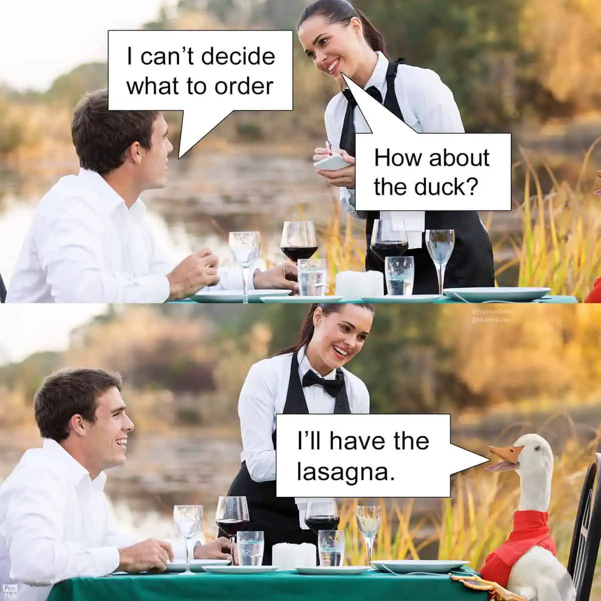 A funny restaurant-themed animal pun webcomic where a waitress suggests ordering the duck, only for the next frame to reveal a live duck wearing a red bib sitting in a dining chair ordering lasagna instead.