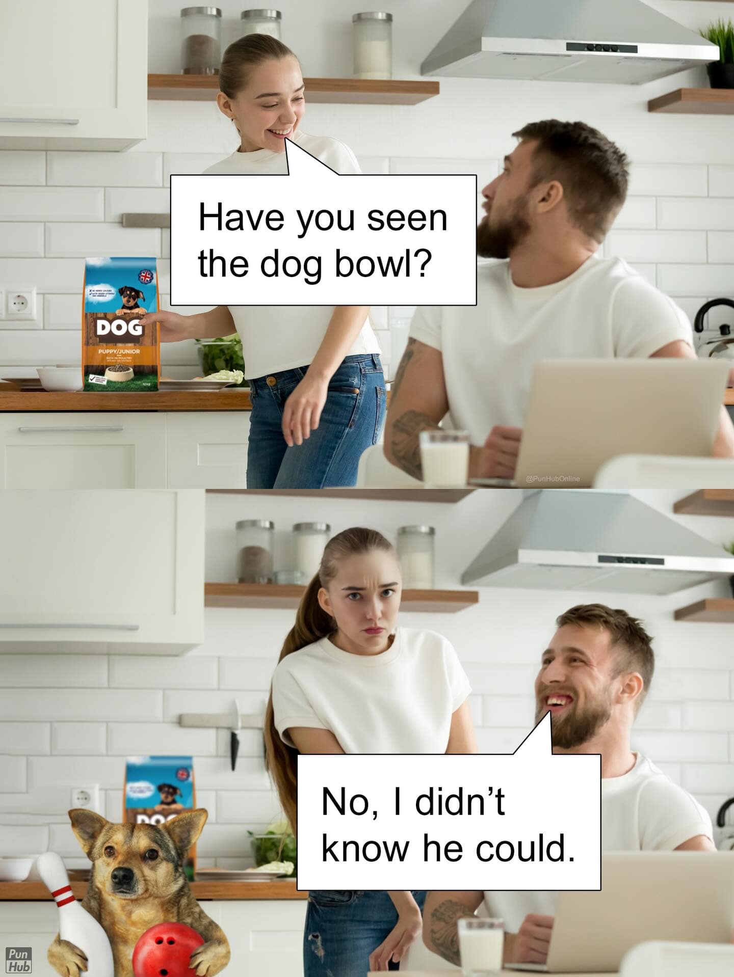 A kitchen-themed animal pun illustration where a woman asks if her partner has seen the dog food bowl, leading to a joke about a small dog actively participating in the sport of bowling.