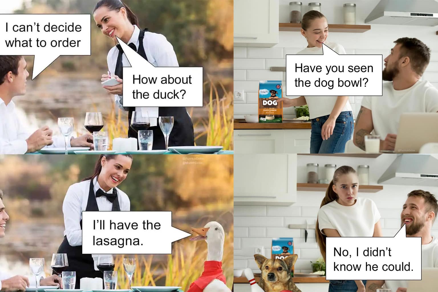 An expansive animal puns collection archiving top-tier literalist wordplay and dad jokes, highlighted by a formal ballroom gala filled entirely with dogs wearing tuxedos, a live duck sitting at a restaurant table ordering lasagna, and a distraught man realizing the tragic double meaning of running over his dog named "5 Miles."