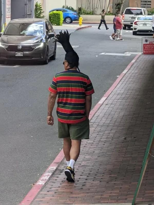 Pedestrian walking away with a single massive vertical dreadlock spike on his head, showcasing bizarre bad haircuts.