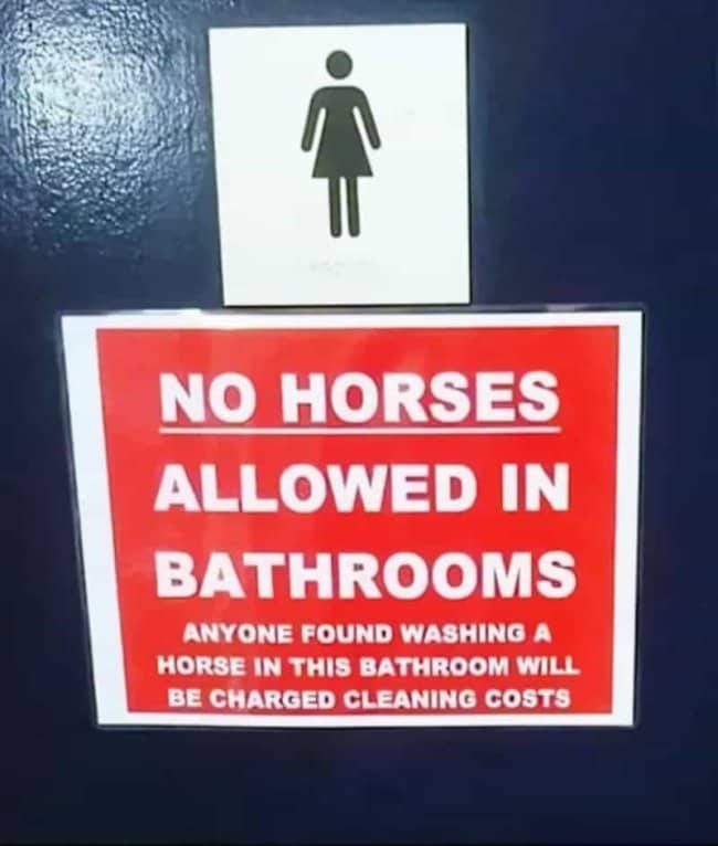 Funny bathroom door warning sign prohibiting people from washing horses inside the facility.