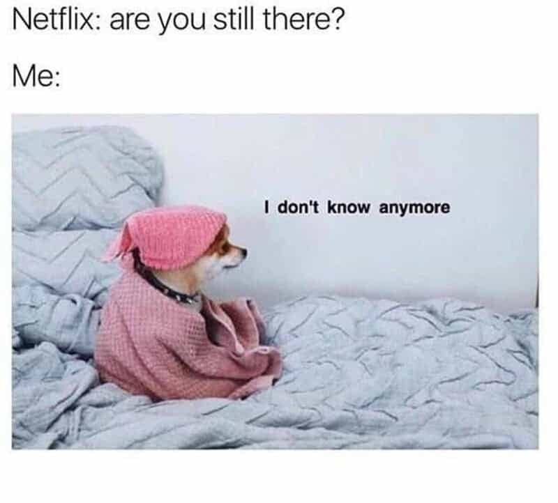 Small dog wrapped in a pink towel sitting on a bed looking deeply contemplative.