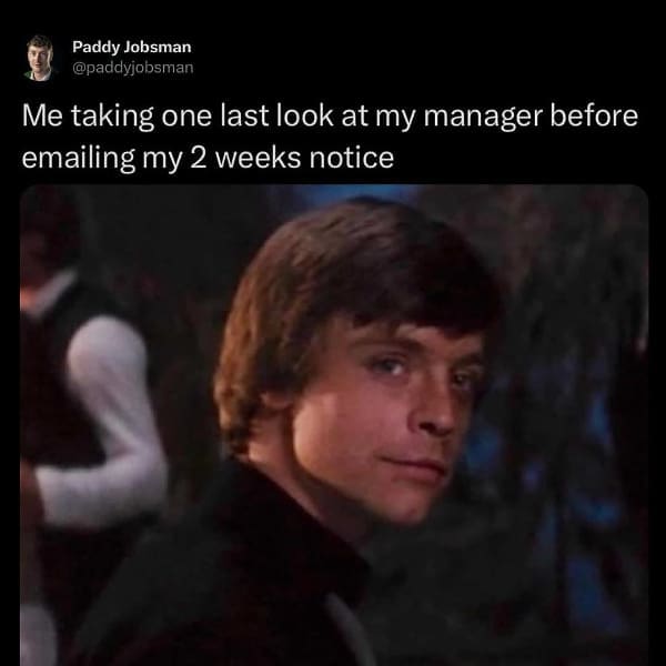 Luke Skywalker from Star Wars paired with a text caption about giving a manager a final look before quitting.