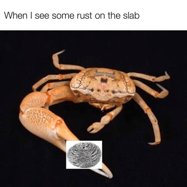 A defensive wildlife photo serves as a protective cast iron skillet meme, showing a large fiddler crab brandishing its massive claw which has been edited to hold a stainless steel wool scrubber ball under the caption, "When I see some rust on the slab."