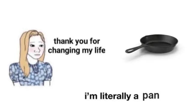 A minimalist relationship layout functions as a deadpan cast iron skillet meme, utilizing a traditional Wojak girl meme format where she tearfully tells a standard black iron pan, "thank you for changing my life," and the pan blankly replies, "i'm literally a pan."