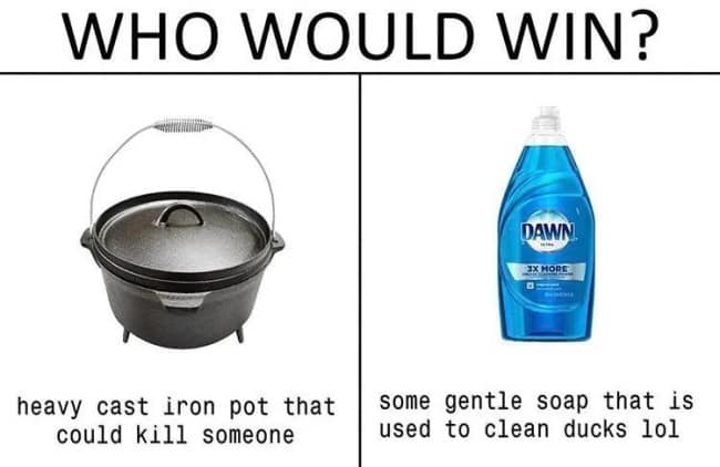 A classic "Who Would Win?" showdown graphic deployed as a cast iron skillet meme, pitting a "heavy cast iron pot that could kill someone" against "some gentle soap that is used to clean ducks lol."