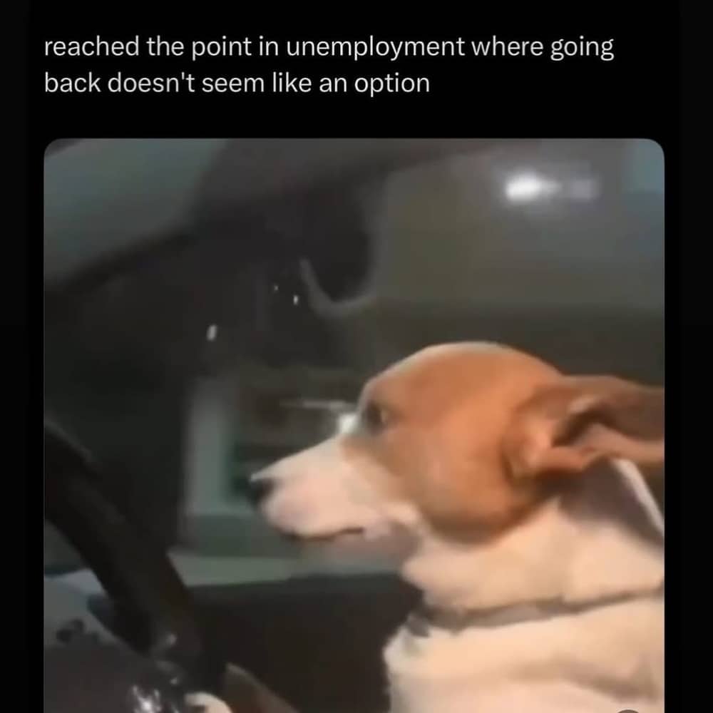 Dog driving a car with a text overlay about reaching a point in unemployment.
