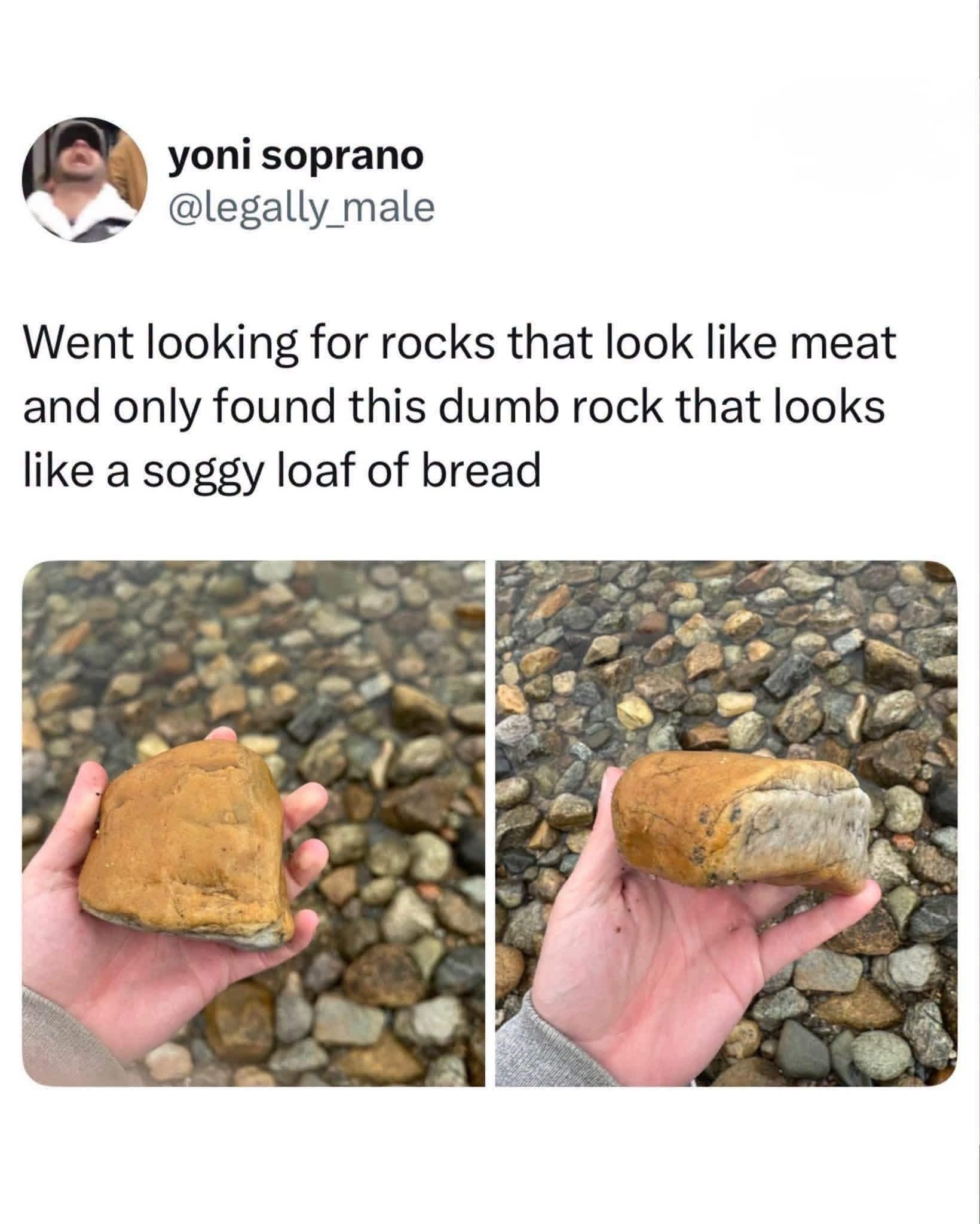 Hand holding a loaf-shaped brown stone over a riverbed in a text tweet image macro from a classic meme.