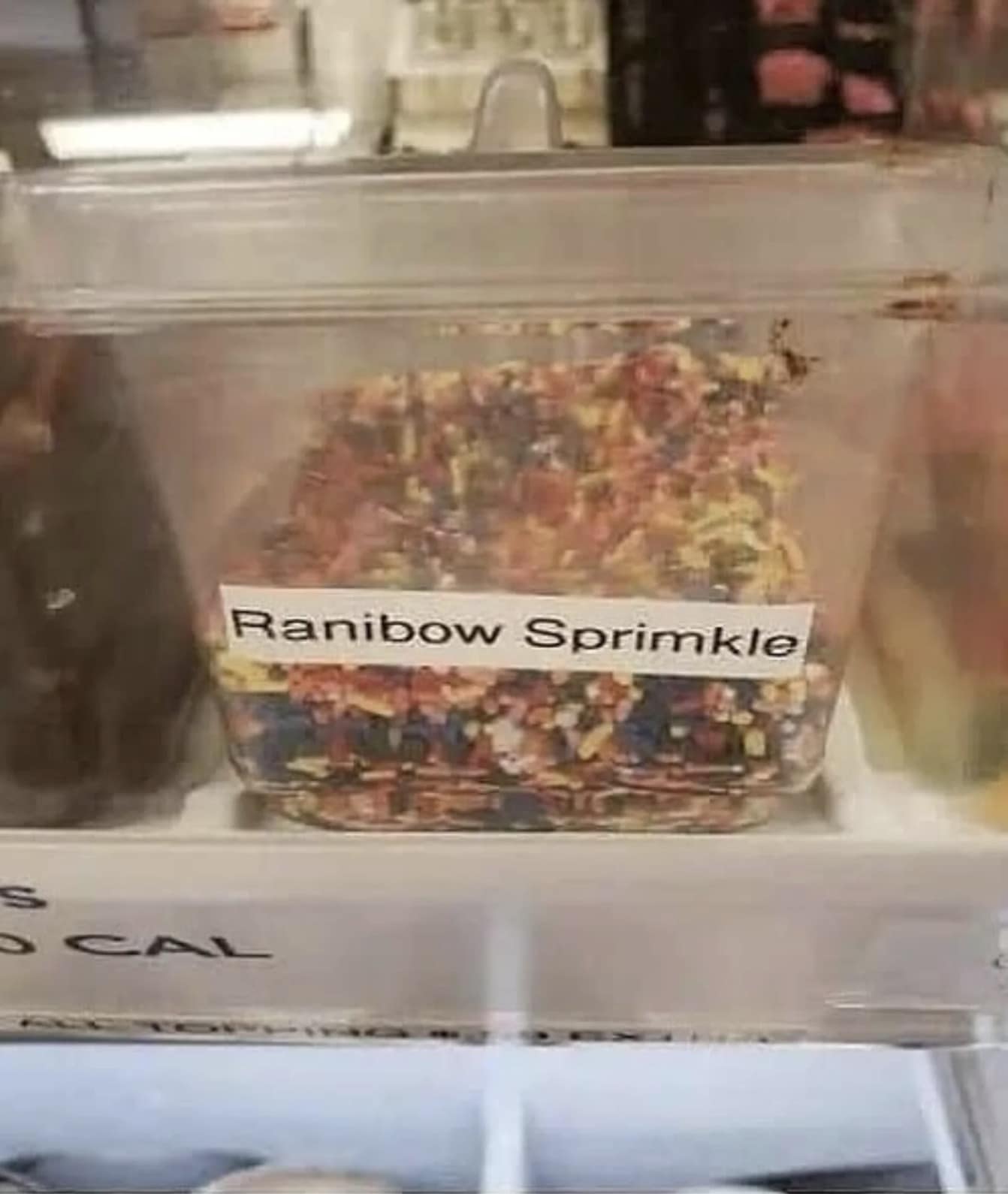 A legendary addition to classic memes internet lore captures a close-up, slightly blurry photograph of a clear plastic ingredient bin inside a frozen yogurt shop or bakery. The front of the plastic food storage container features a simple, printed label that has a hilarious phonetic misspelling, reading: "Ranibow Sprimkle."