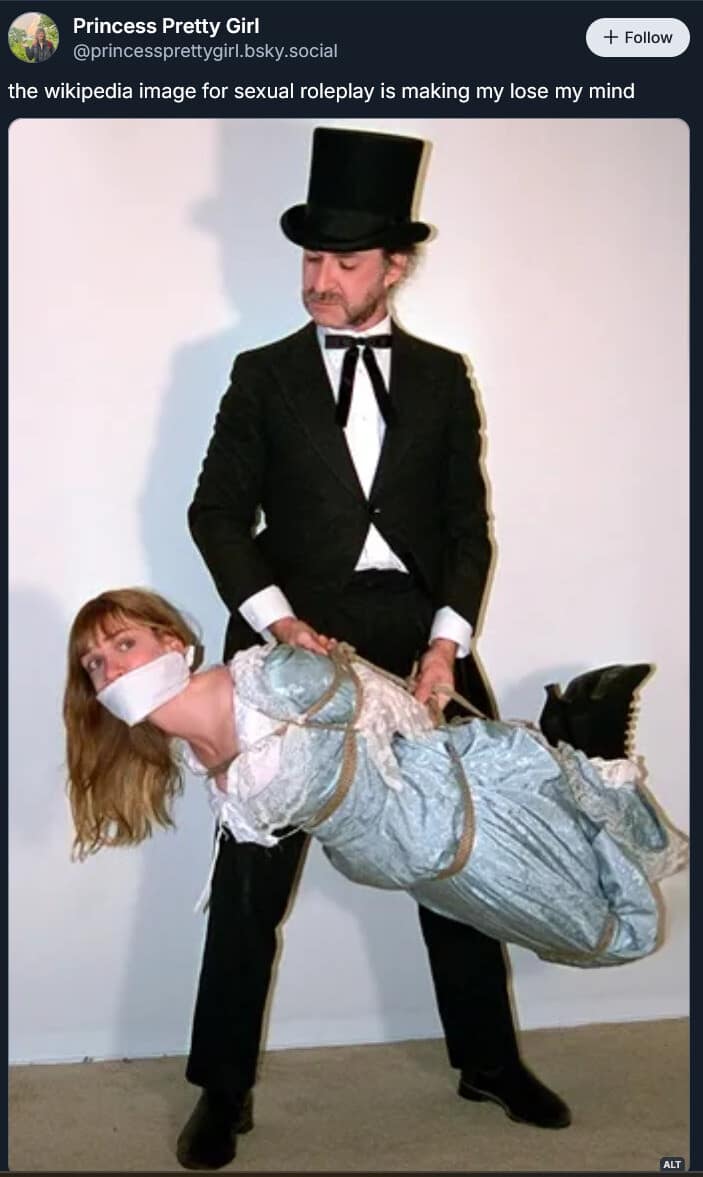 A minimalist platform post shared widely as an internet classic meme displays a Bluesky text note mocking an overly formal, completely absurd Wikipedia illustration for sexual roleplay where a man in a Victorian top hat carries a tied-up woman like a log.