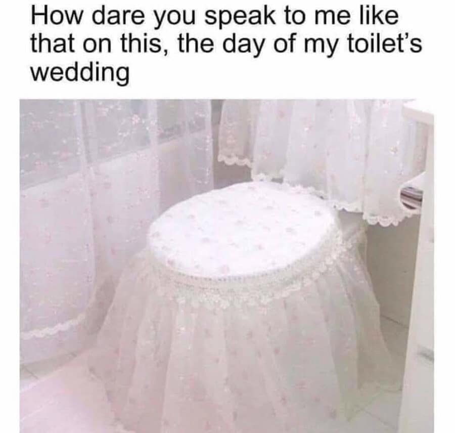 A dramatic home-design macro functions as a funny classic meme, pairing a text bar about defending personal dignity on the day of a toilet's wedding with a photo of a porcelain toilet bowl completely wrapped in white, lacy bridal tulle fabric.
