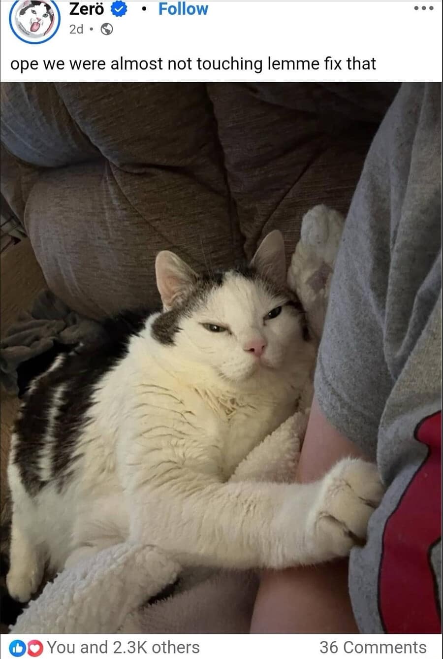 An aggressive animal photography post functions as an excellent classic meme, featuring a Facebook update by Zerö showing a chubby white and tabby cat narrow-eyedly clamping its paw onto a human's sweatpants under the caption, "ope we were almost not touching lemme fix that."