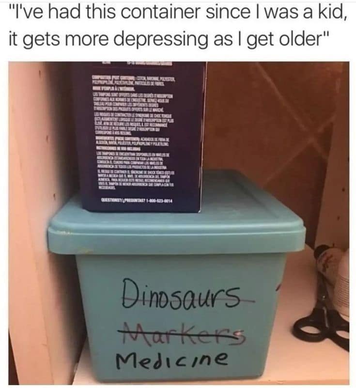 This beautifully tragic classic meme highlights the harsh reality of aging with an image of a teal plastic storage bin inside a closet. The handwritten labels on the bin have been progressively crossed out to document a lifetime shift: the first word "Dinosaurs" is crossed out, followed by "Markers," leaving only the final, uncrossed word "Medicine."