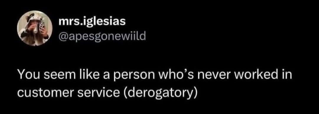 A sharp text-based classic meme features a high-contrast screenshot of a viral social media post from user mrs.iglesias (@apesgonewiild). The deadpan text layer cuts straight to the core of workplace sociology, reading: "You seem like a person who’s never worked in customer service (derogatory)."