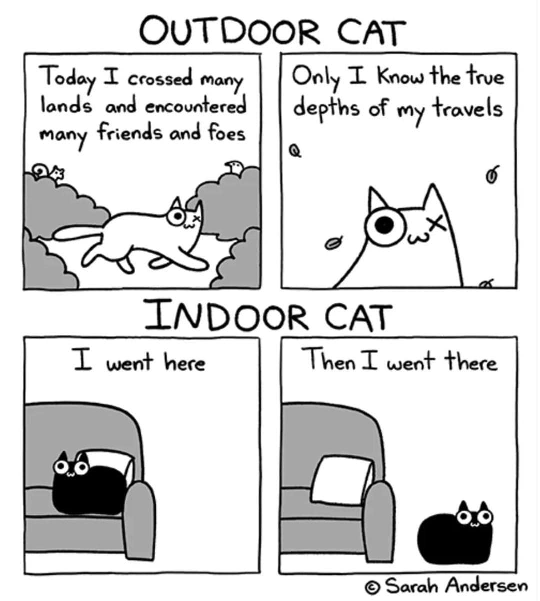 Sarah Andersen four-panel cat comic contrasting outdoor travels with lazy indoor couch movement within an old memes format.
