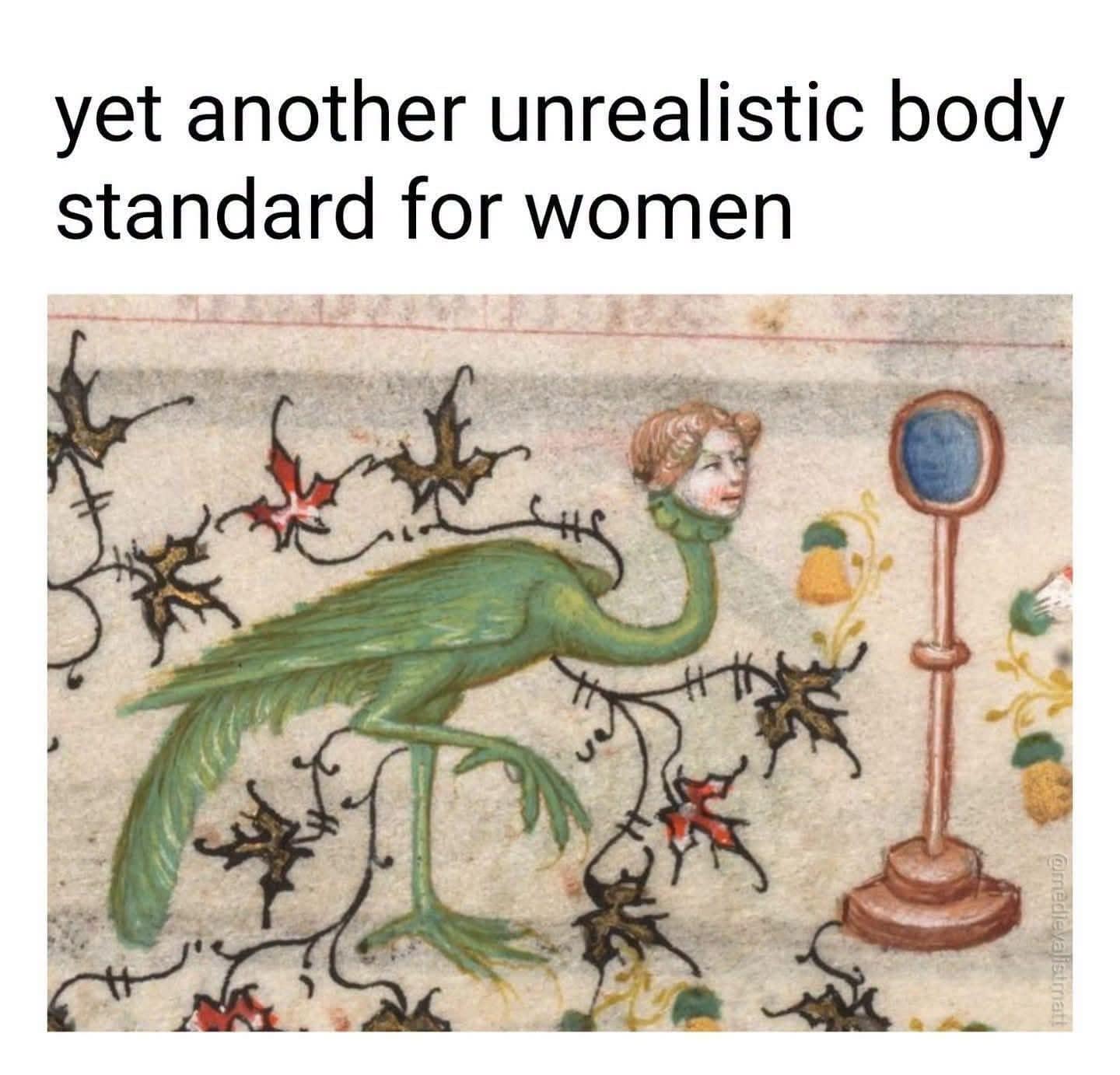 An absurd historical classic meme takes a swipe at beauty expectations by utilizing a bizarre piece of medieval marginalia art. Under the bold text header, "yet another unrealistic body standard for women," the ancient manuscript illustration depicts a long-necked green bird creature with the detailed head of a medieval woman staring intently into a vanity mirror.