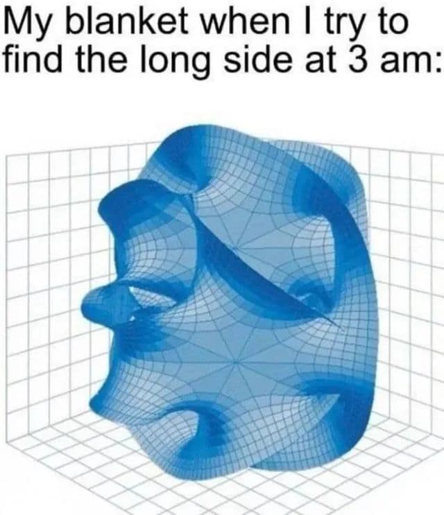 Complex three-dimensional geometric manifold plot on a grid modeling late-night bedding frustration text in an old memes format.