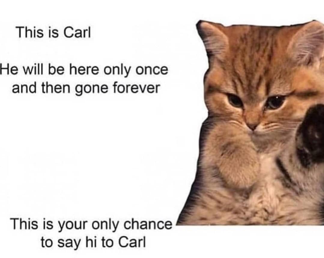 wholesome pass-it-on style classic meme introduces an isolated, cut-out picture of a fluffy light-brown tabby kitten slightly lifting its paw under text reading: "This is Carl. He will be here only once and then gone forever. This is your only chance to say hi to Carl."