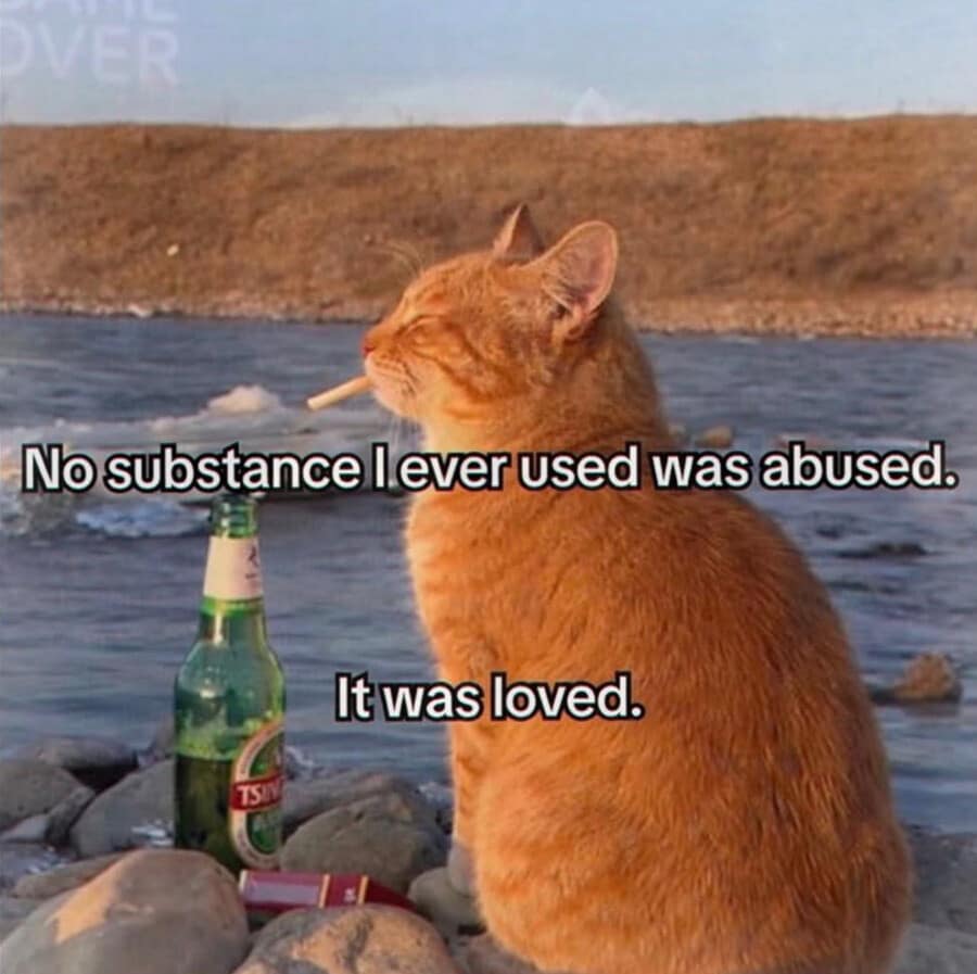 Orange tabby cat with a cigarette in its mouth sitting next to a Tsingtao beer bottle under overlay text in a classic meme.