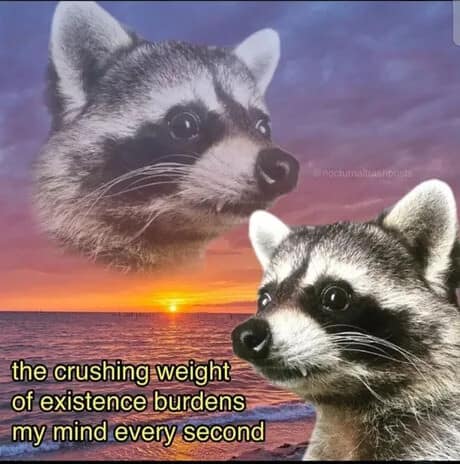Two raccoon faces superimposed over a sunset beach scene with existential text in a classic meme.