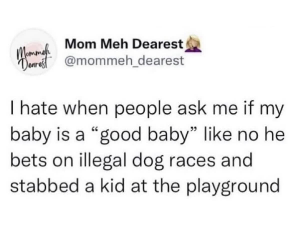 Twitter screenshot from user Mom Meh Dearest regarding a baby participating in illegal dog races, filed under the internet's best memes.