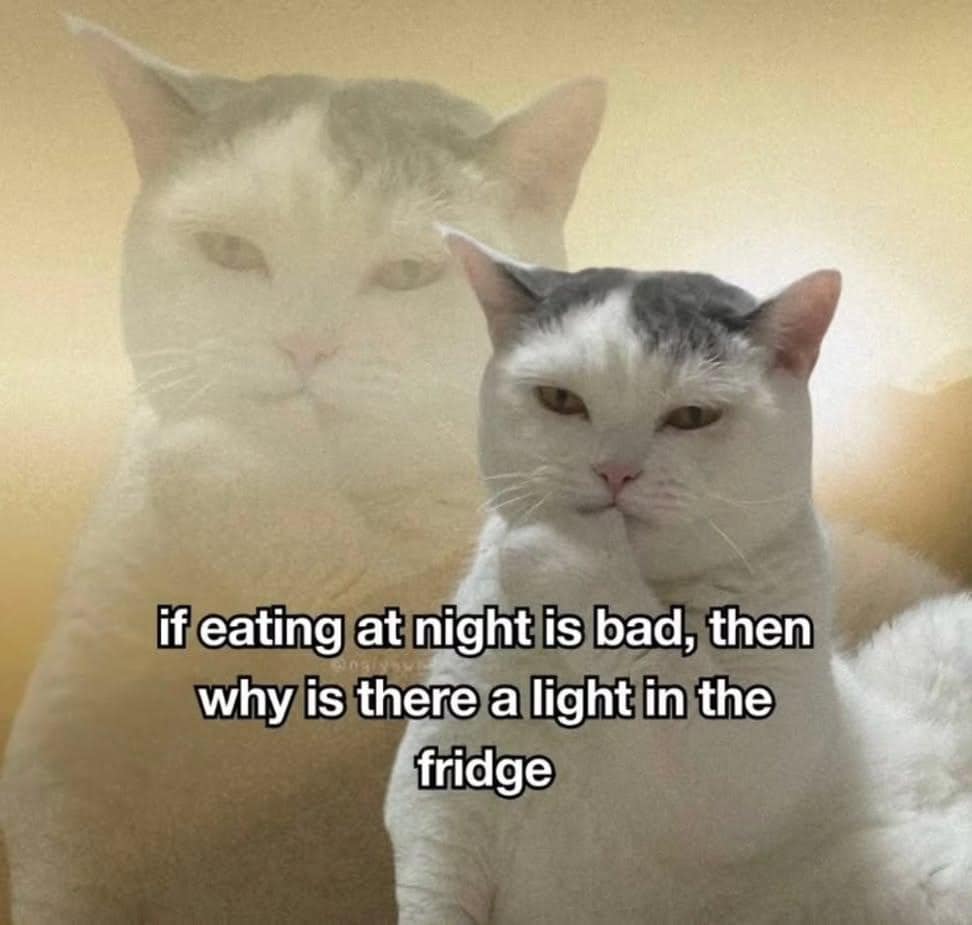 White cat double-exposure close-up portrait overlaying text reading, "if eating at night is bad, then why is there a light in the fridge" in a popular classic meme.