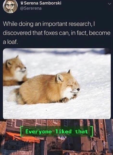 A wholesome wildlife edit serving as a classic meme, featuring a photo of an adorable red fox curled tightly into a perfect ball on top of the snow, overlaid with a tweet stating that foxes can become a loaf right above a green [ Everyone liked that ] notification bar from the game Fallout.