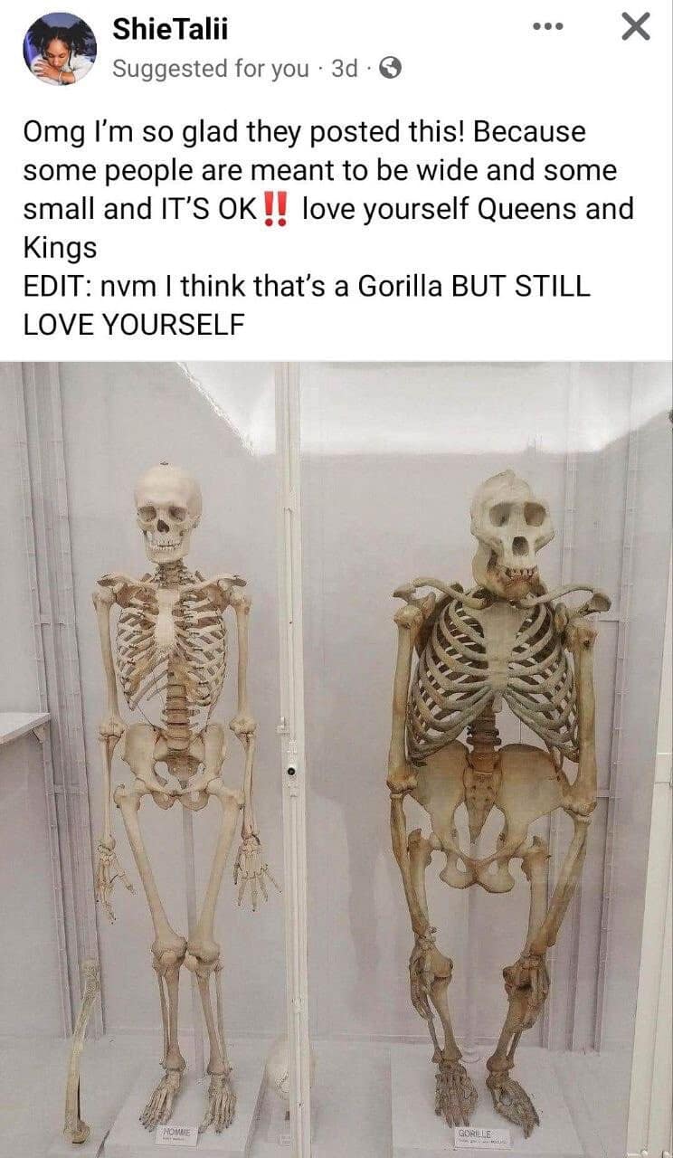 A humorous social media screenshot functioning as a classic meme, where user ShieTalii delivers an emotional body-positivity speech over a museum display containing a slender human skeleton and a wide gorilla skeleton, before adding an update line reading: "nvm I think that's a Gorilla BUT STILL LOVE YOURSELF."