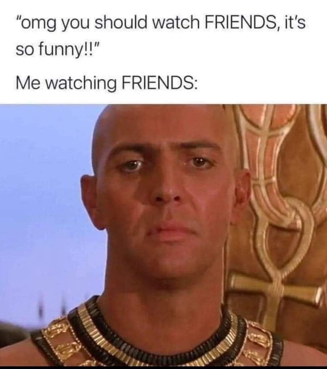 A definitive pop-culture critique layout found among popular internet memes pairs a photo of High Priest Imhotep from The Mummy looking completely stone-faced and unamused with text contrasting a friend claiming the sitcom Friends is hilarious against the viewer's absolute lack of emotion.