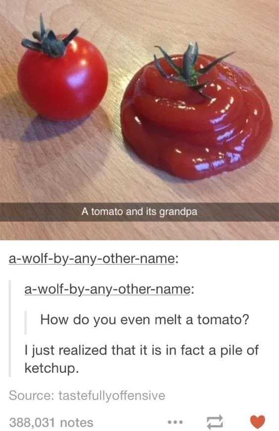 A classic meme showcasing a viral Tumblr thread where a user shares a photo of a cherry tomato next to a swirl of ketchup with a stem on top labeled "A tomato and its grandpa," prompting another user to hilariously ask how you melt a tomato.