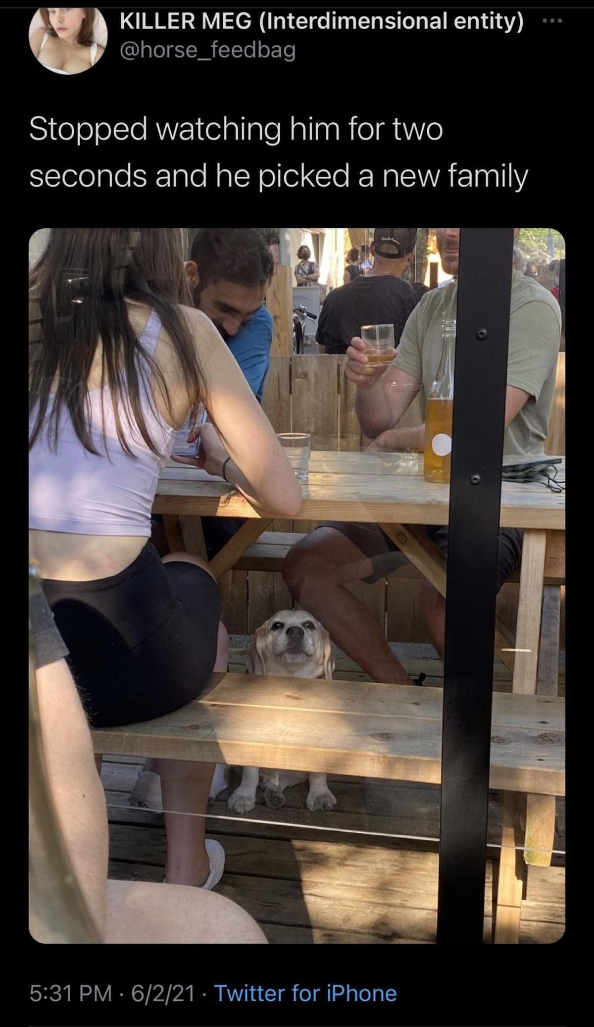 A classic memes entry featuring a tweet by user KILLER MEG about a dog that instantly "picked a new family" the second its owner looked away, accompanied by a photo of a dog sitting under a restaurant patio picnic table staring longingly up at a group of beer-drinking strangers.