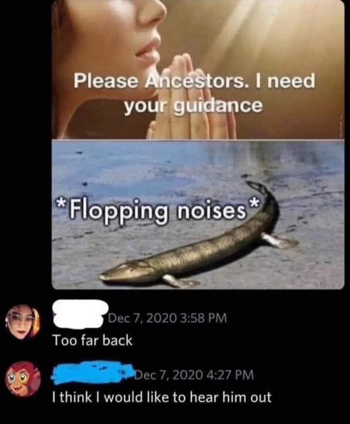 A two-panel graphic in a funny meme format contrasting a woman praying to her ancestors for guidance against an ancient prehistoric fish crawl-walking out of a swamp.