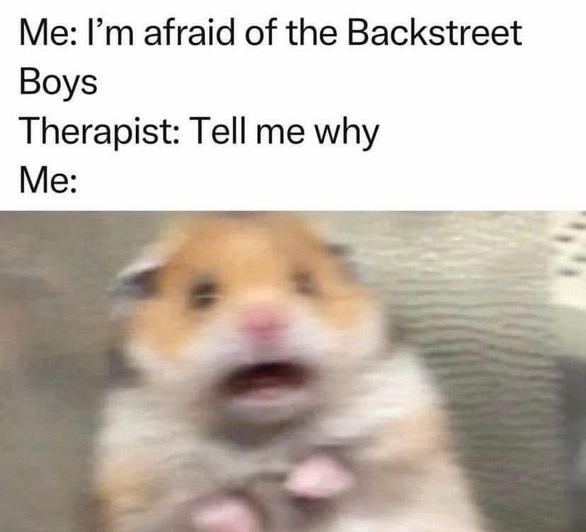 A classic meme text format showing a therapy joke about a patient admitting a fear of the Backstreet Boys, where the therapist innocently asks "Tell me why" and the patient reacts with an image of a heavily blurred, panicked hamster holding its paws up.